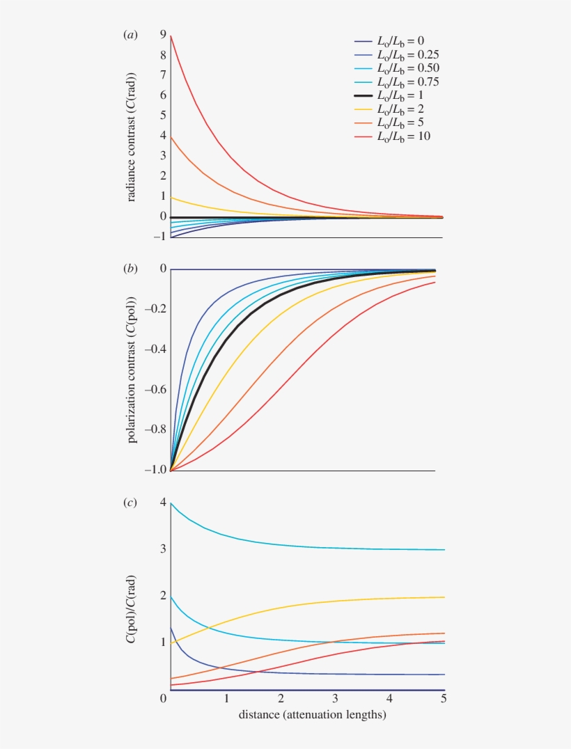 The Polarization Weber Contrast Of An Inherently Unpolarized, transparent png