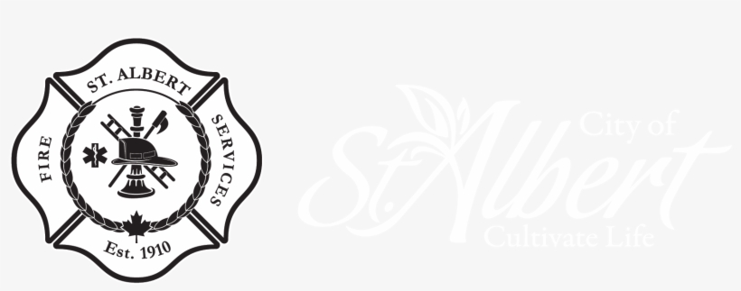 Ems Logo Png, transparent png