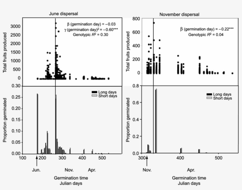 Germination Schedules Of Seeds Dispersed In Rhode Island, transparent png