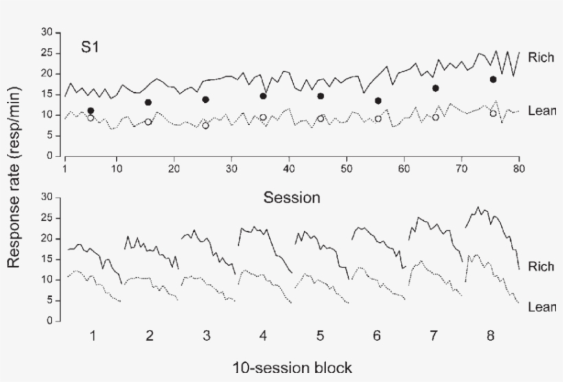 Daily Response Rates On The Rich Schedule And On The, transparent png