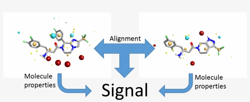 In 3d Qsar The Alignments Provide Most Of The Signal, transparent png