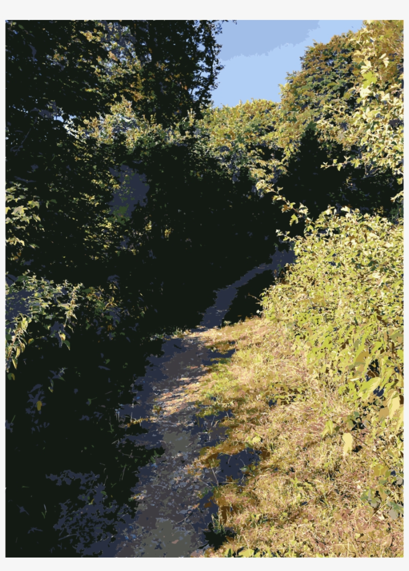 Lichtscheid Clipart Lichtscheid Forest Vegetation, transparent png