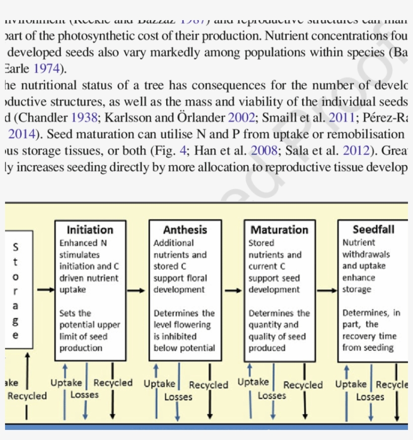 Resource Dynamics Representation Of A Mesic Temperate, transparent png