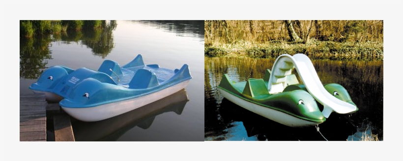 Dolphin Paddle Boat Dwb-04, transparent png