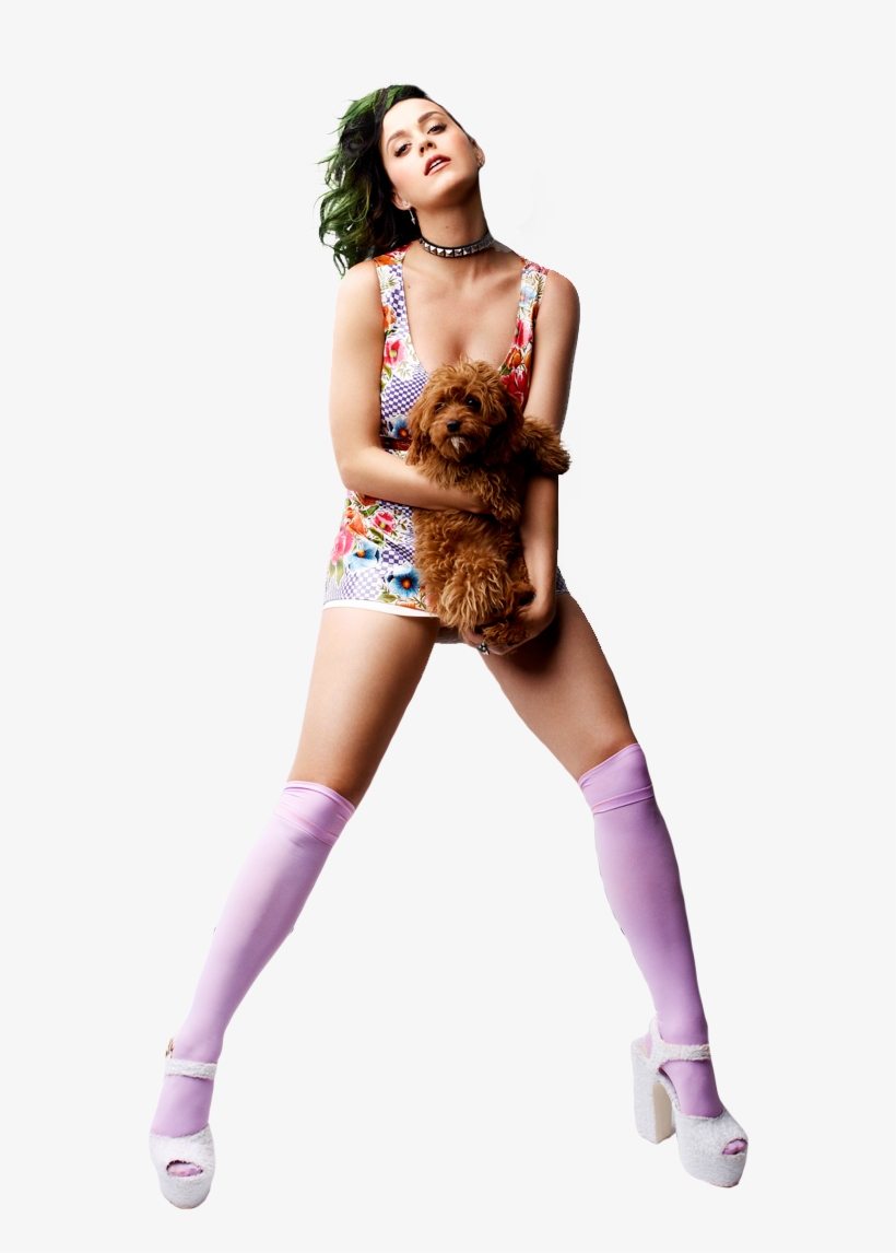 Katy Perry Full Body Png Image, transparent png