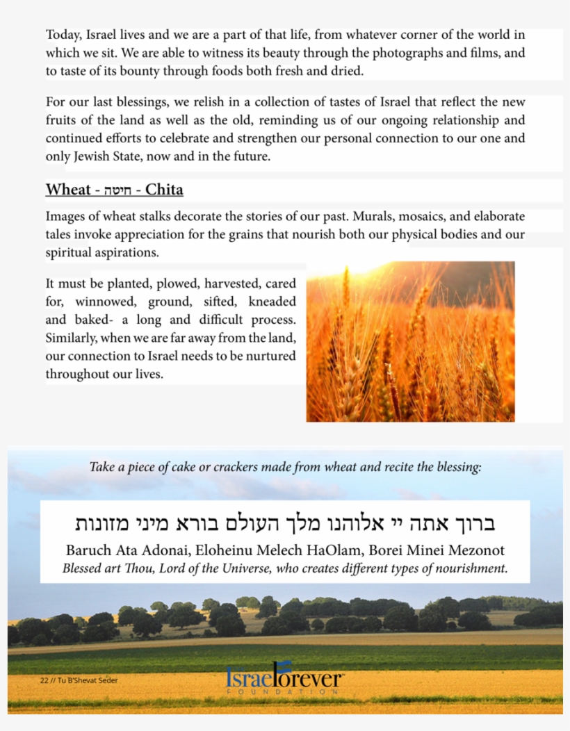 Today, Israel Lives And We Are A Part Of That Life,, transparent png