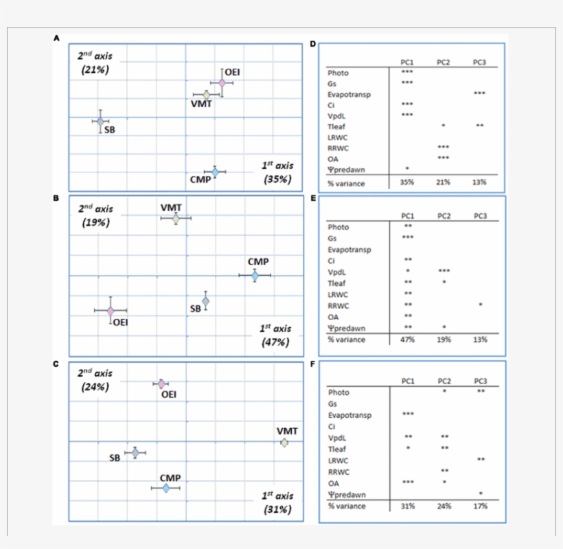 Wild Beets And Sugar Beet Responses Submitted To A, transparent png