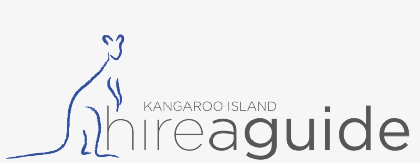 Kangaroo Png, transparent png