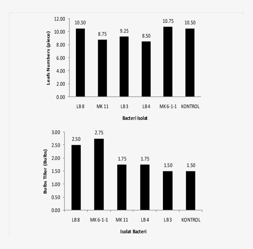 Leaves Number Of Shallot Bulb Tillers 1 Month After, transparent png