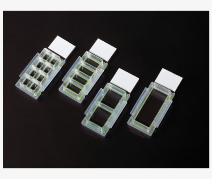 Celltreat 229161 Cell Culture Chamber Slide, 1 Chamber,, transparent png