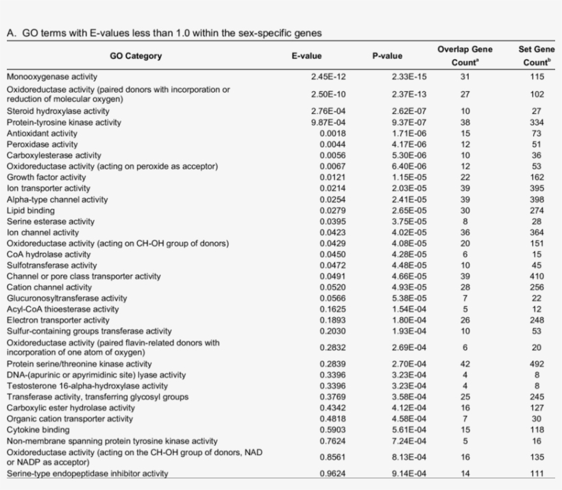 Enrichment Analysis For Go/kegg Terms And Gene Families, transparent png