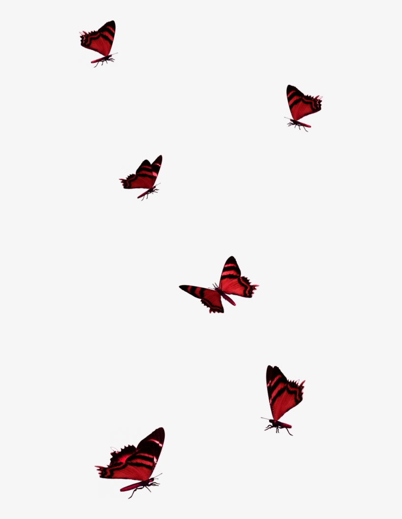 Tubes Varies Pngamusez Vous Biencaroline, transparent png