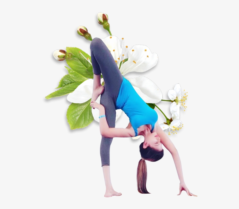 Protects Your Spine, transparent png