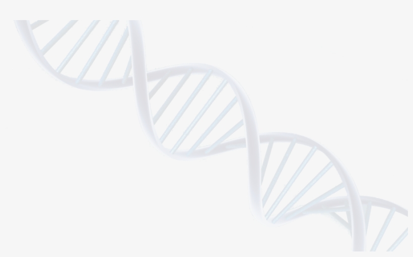 Dna, transparent png