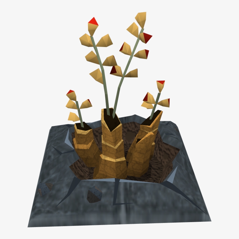 Plant .png, transparent png