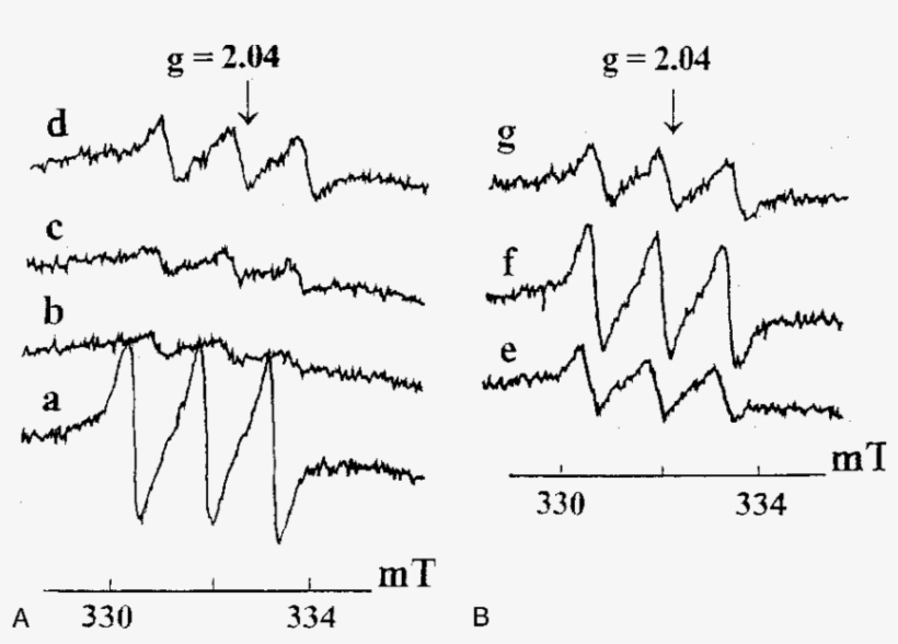 Effect Of Addition Of Ascorbate And Nor 1 After 15, transparent png