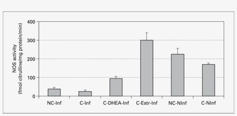 Activity Of Nos In Brain Tissue Of Moribund Mice Infected, transparent png