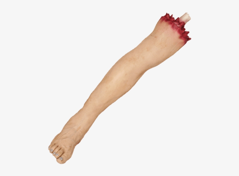 Severed Leg, transparent png