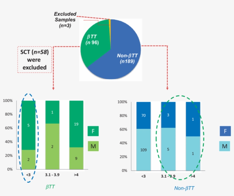 Jocundity's Does Hemoglobin In Sickle Cell Trait, Have, transparent png