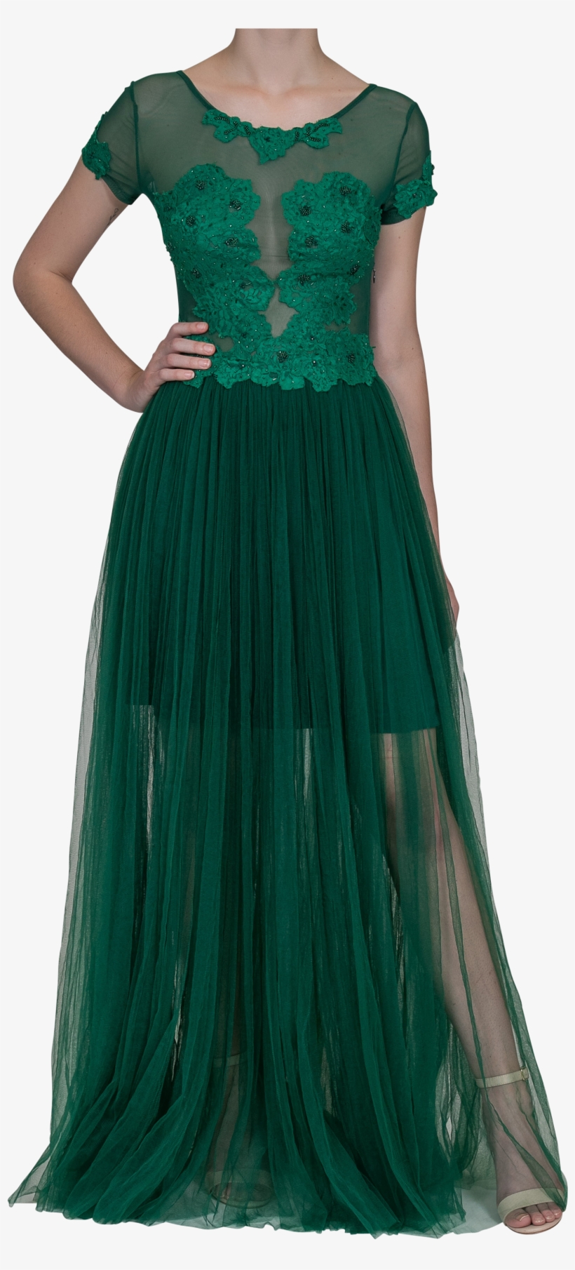 Illusion Lace Gown, transparent png