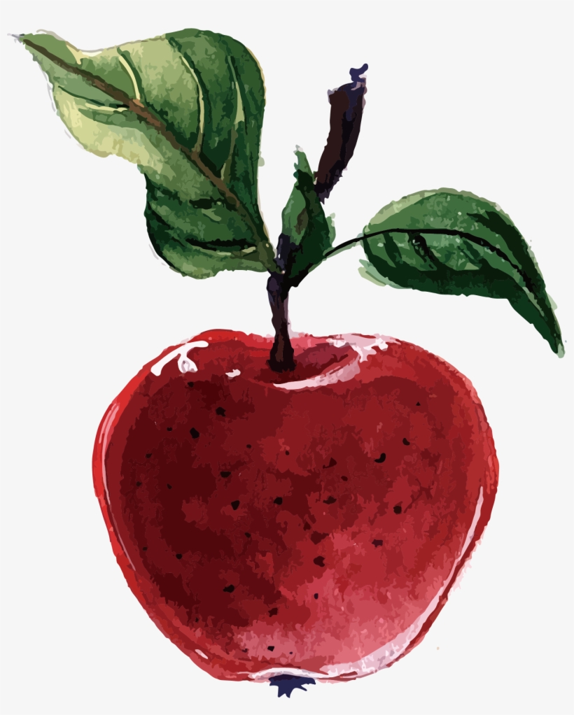 Image Free Packs Plant Based Diet Adobe Red Apple, transparent png
