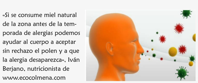 Alergias Al Polen, transparent png