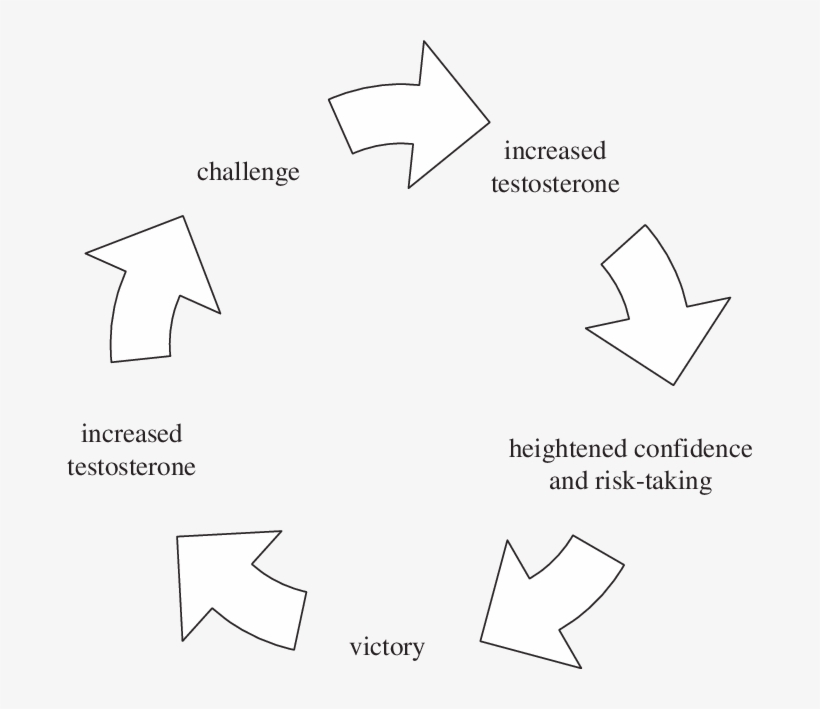 Schematic Representation Of A Winner Effect Mediated - Process Of Self Directed Learning, transparent png