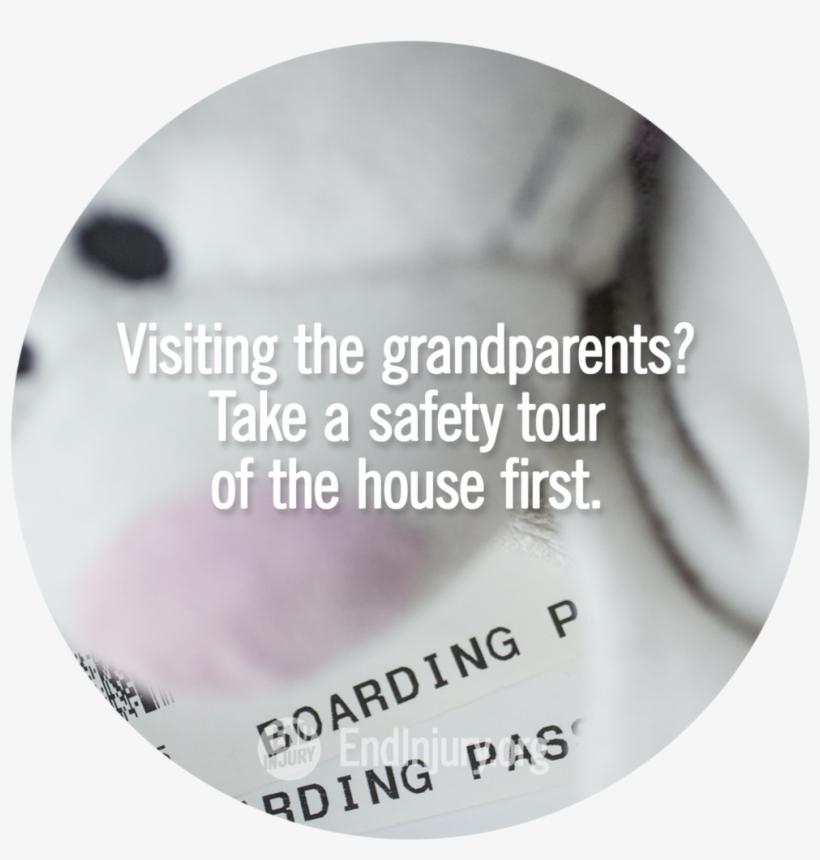 Visiting Grandparents Quiz Action Photo - Hazard Analysis, transparent png