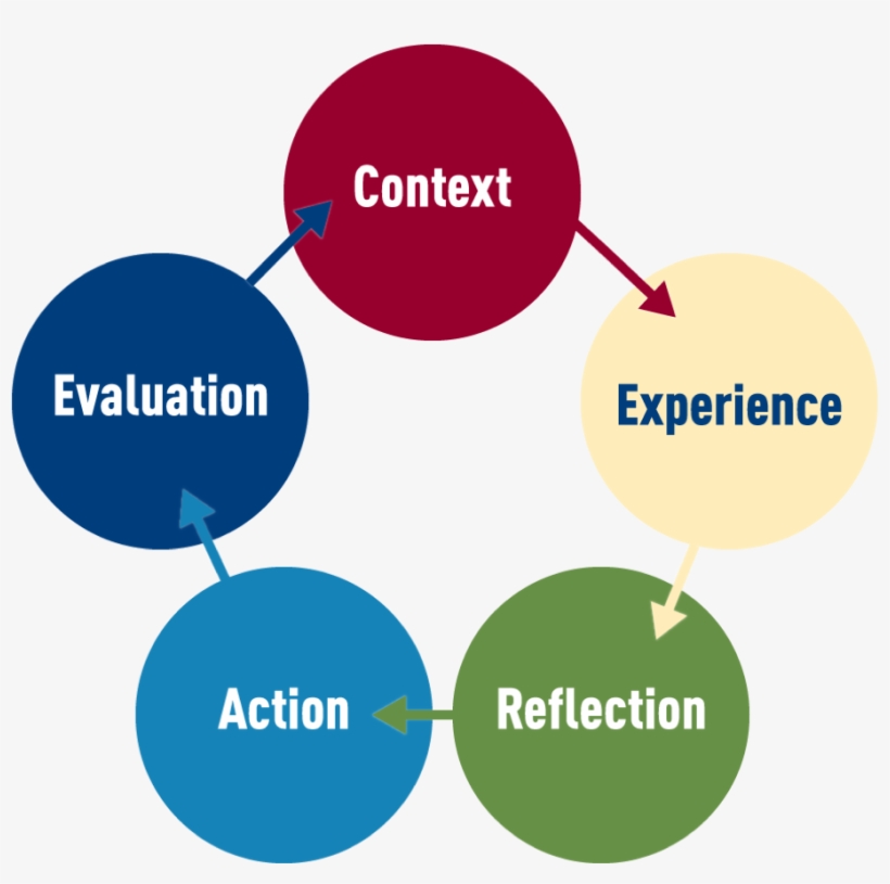 Flow Chart Using Circles And Arrows To Illustrate The - Australian Institute Of Export, transparent png
