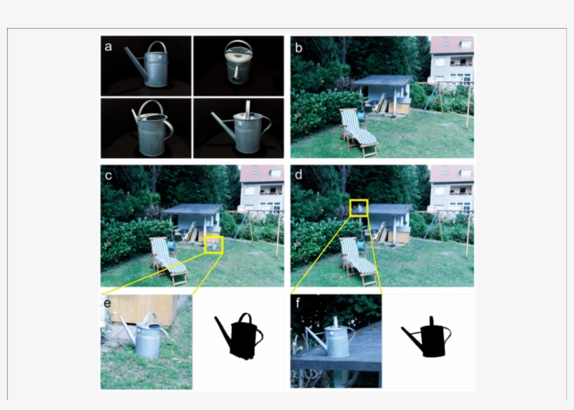 Download - Backyard, transparent png