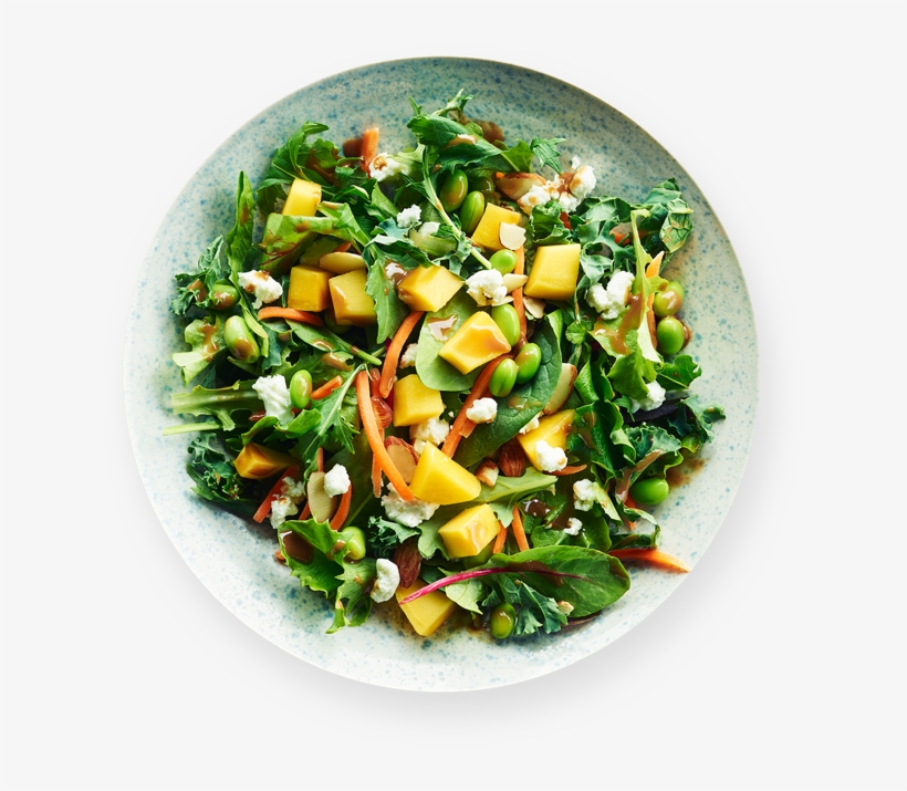 Salads & Wraps Icon Gluten Free Salads Outlined - Panera Spinach Bacon Salad, transparent png