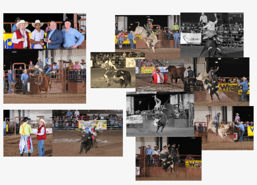 Collage, transparent png
