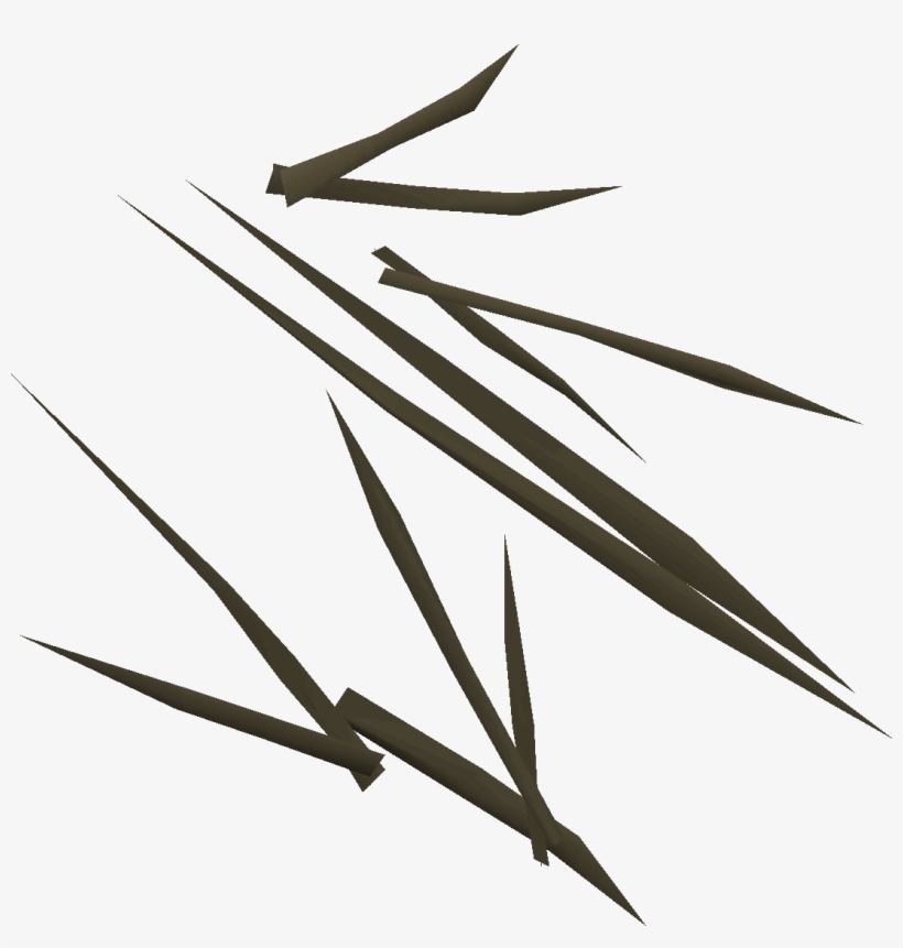 Twig, transparent png