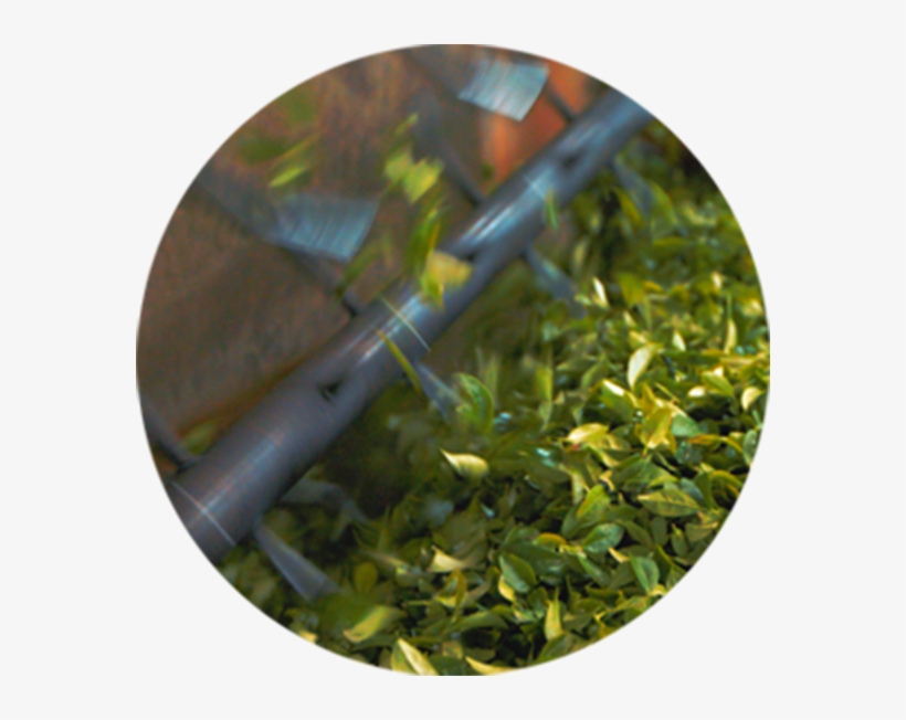 Innovation With Integrity - Circle, transparent png