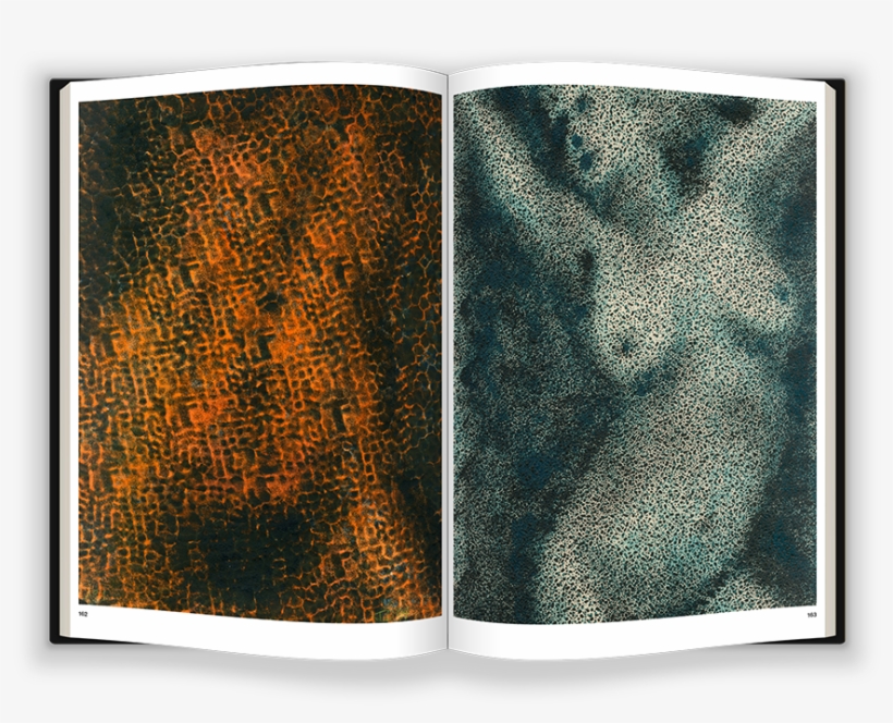 Featuring A Foreword By Chris Kraus, Jane Dickson In - Visual Arts, transparent png