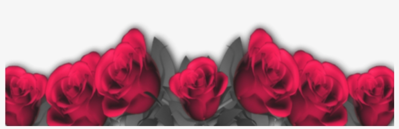 Marcos Para Fotos De Flores, transparent png