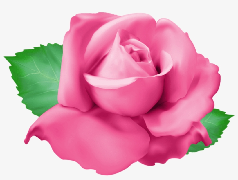 Free Png Download Pink Rose Png Png Images Background - Portable Network Graphics, transparent png