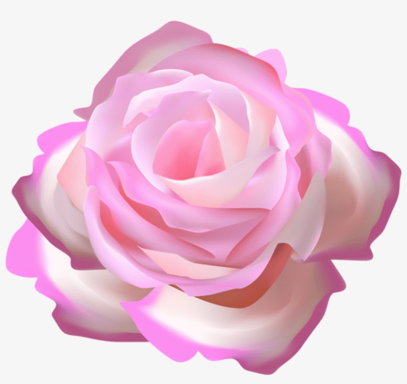 Free Png Download Pink Rose Decorative Transparent - Rose, transparent png