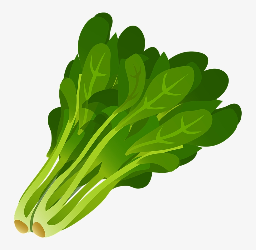 Clipart Of Vegetable, Vegetab E And Seaweed Long, transparent png