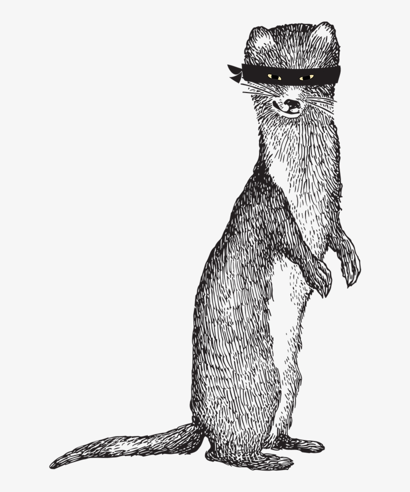 Sneaky Weasel - Punxsutawney Phil, transparent png
