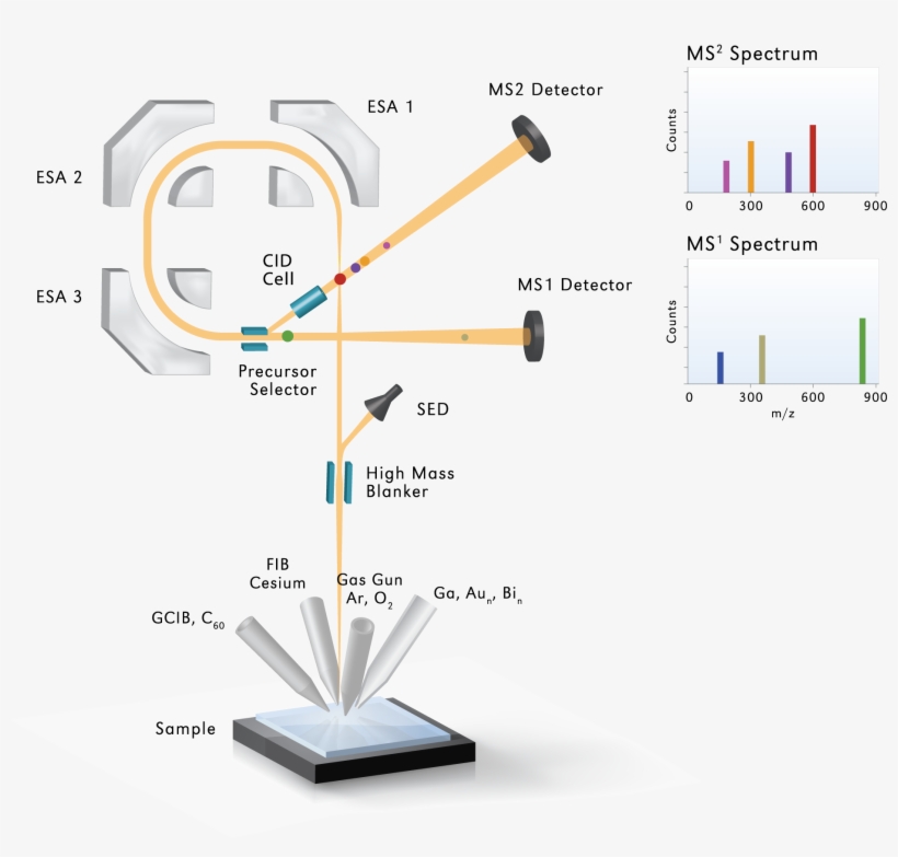 Phi Webinar Series - Diagram, transparent png