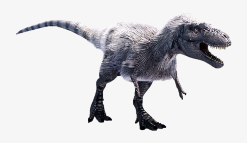 Bone-shattering Teeth - Dinosaurs Top Of The Food Chain, transparent png