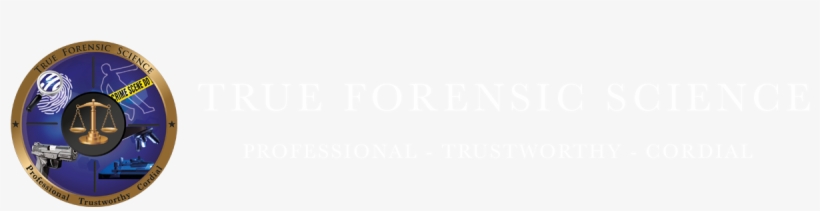 About Us - Ivory, transparent png