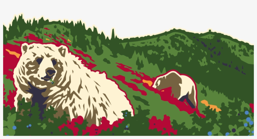 Wh Banner, transparent png