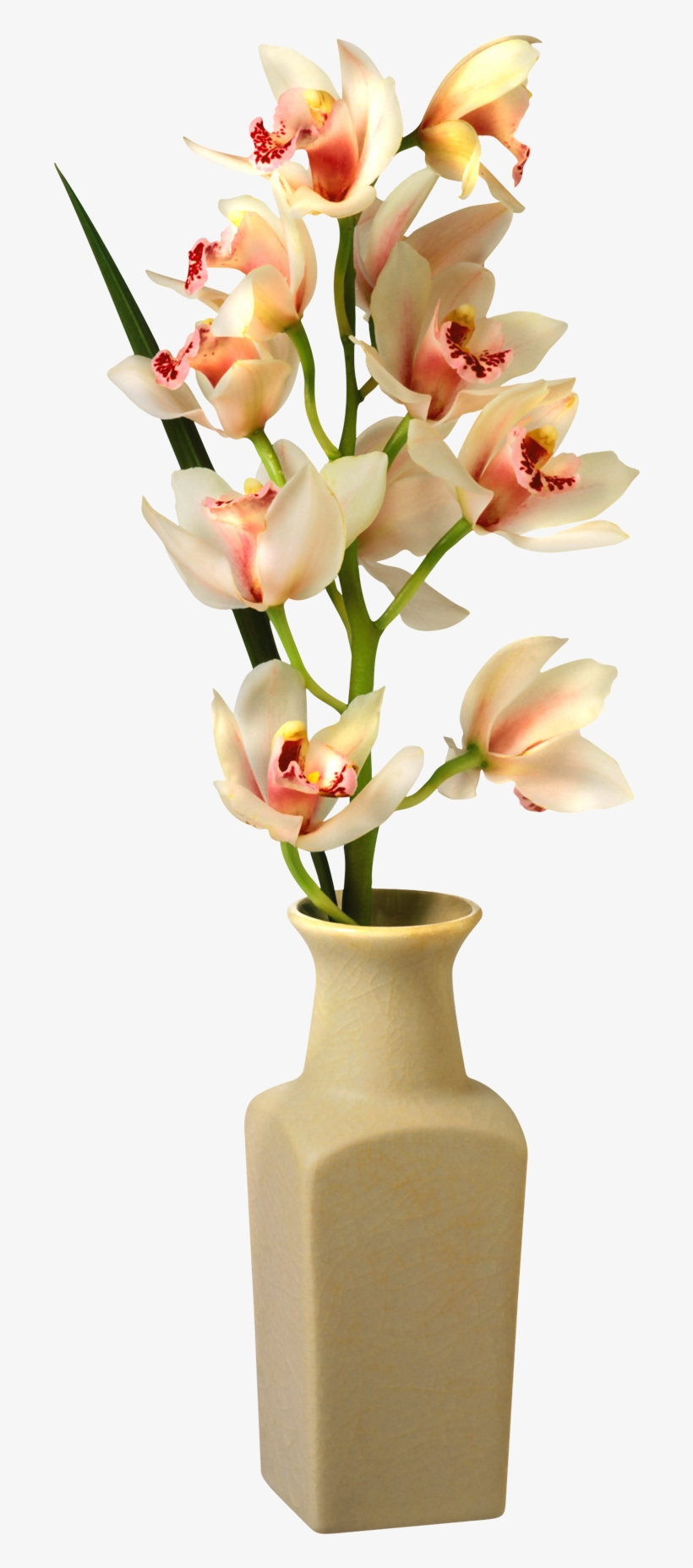 Flowers In Vase Png, transparent png