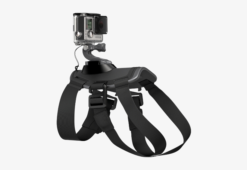 Gopro Fetch - Divinext Gopro Fatch Dog Harness, transparent png