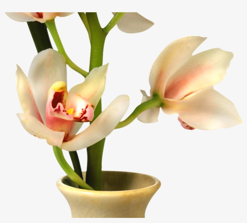 19 Flowers In Vase Png Library Download Huge Freebie - Florero Png, transparent png