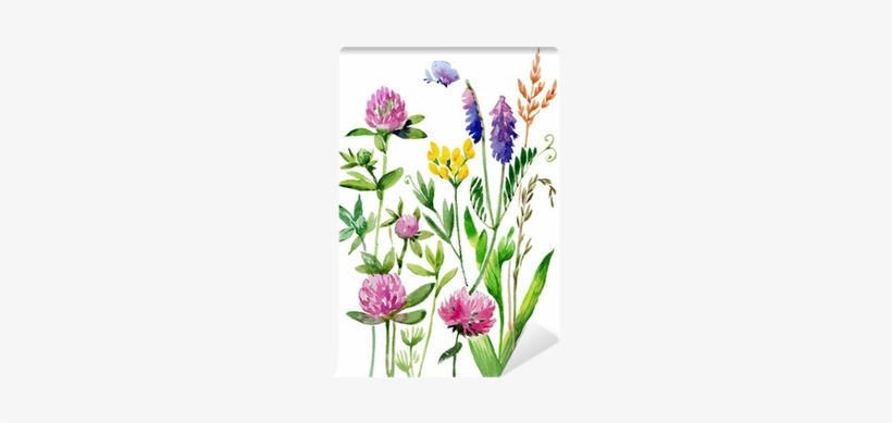 Watercolor Wildflowers And Grasses Wall Mural • Pixers® - Watercolor Painting, transparent png