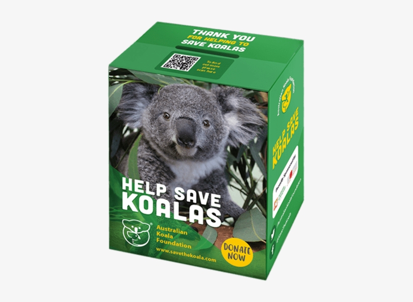 “she One Of The Most Inquisitive Members Of Our Koala - Snow, transparent png