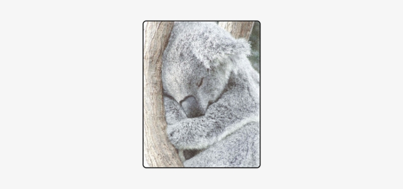 Sleeping Koala Blanket 40"x50" - Sleeping Koala Shower Curtain - 71" By 74", transparent png